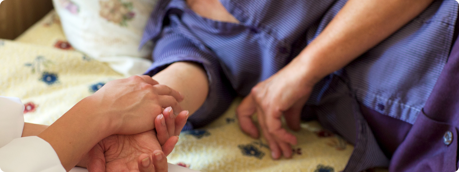 訪問診療の内容 イメージ